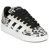 Image de Baskets basses adidas GC ALPHA SK8 femme