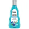 Image de Guhl, Shampoing, Volume à long terme (Shampoing liquide, 250 ml)
