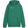 Image de Puma, Garçons, Pull-over, teamGOAL Casuals Hoody Jr, Vert, (116)
