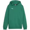 Image de Puma, Garçons, Pull-over, teamGOAL Casuals Hoody Jr, Vert, (152)