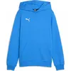 Image de Puma, Garçons, Pull-over, teamGOAL Casuals Hoody Jr, Vert, (128)