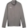Image de Puma, Femmes, Vestes de survêtement, teamGOAL Veste d'entraînement Wmn (S), Gris, S
