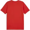 Image de Puma, Hommes, T-shirt de sport, Tee teamGOAL Casuals (S), Rouge, S