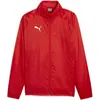 Image de Puma, Hommes, Vestes de survêtement, Veste All Weather teamGOAL (L), Rouge, L