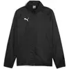Image de Puma, Hommes, Vestes de survêtement, Veste All Weather teamGOAL (L), Noir, L