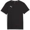 Image de Puma, Garçons, T-shirt de sport, teamGOAL Casuals Tee Jr (128), Noir, 128