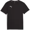 Image de Puma, Garçons, T-shirt de sport, teamGOAL Casuals Tee Jr (116), Noir, 116
