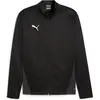Image de Puma, Hommes, Veste de running, Veste d'entraînement teamGOAL (M), Noir, M