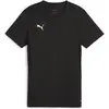 Image de Puma, Femmes, T-shirt de sport, teamGOAL Jersey Wmn (XS), Noir, XS