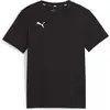 Image de Puma, Hommes, T-shirt de sport, teamGOAL Casuals Tee Jr (152), Gris, 152