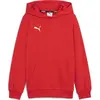 Image de Puma, Garçons, Pull-over, teamGOAL Casuals Hoody Jr, Rouge, (164)