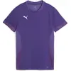 Image de Puma, Femmes, T-shirt de sport, teamGOAL Matchday Jersey Wmns (S), Violet, S