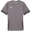 Image de Puma, Hommes, T-shirt de sport, teamGOAL Matchday Jersey (3XL), Gris, 3XL