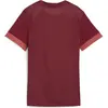 Image de Puma, Femmes, T-shirt de sport, teamGOAL Matchday Jersey Wmns (XS), Rouge, XS