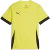 Image de Puma, Garçons, T-shirt de sport, teamGOAL Matchday Jersey jr (128), Jaune, 128