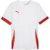 Image de Puma, Hommes, T-shirt de sport, teamGOAL Matchday Jersey (3XL), Violet, 3XL