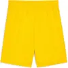 Image de Puma, Hommes, Bas de sport, teamGOAL Short (XL), Jaune