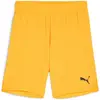 Image de Puma, Garçons, Bas de sport, teamGOAL Short Jr (164), Orange