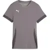 Image de Puma, Femmes, T-shirt de sport, teamGOAL Matchday Jersey Wmns (M), Gris, M
