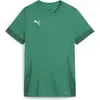 Image de Puma, Femmes, T-shirt de sport, teamGOAL Matchday Jersey Wmns (XS), Vert, XS