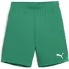 Image de Puma, Unisexe, Bas de sport, teamGOAL Short Jr (116), Vert