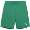 Image de Puma, Unisexe, Bas de sport, teamGOAL Short Jr (152), Vert
