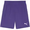 Image de Puma, Hommes, Bas de sport, teamGOAL Short (M), Violet