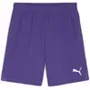 Image de Puma, Hommes, Bas de sport, teamGOAL Short (L), Violet
