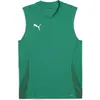 Image de Puma, Hommes, T-shirt de sport, teamGOAL Maillot sans manches (L), Vert, L