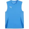 Image de Puma, Hommes, T-shirt de sport, teamGOAL Maillot sans manches (XL), Vert, XL