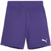 Image de Puma, Garçons, Bas de sport, teamGOAL Short Jr (152), Violet
