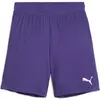 Image de Puma, Garçons, Bas de sport, teamGOAL Short Jr (164), Violet