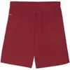 Image de Puma, Hommes, Bas de sport, TeamGloal (XS), Rouge, Blanc
