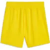 Image de Puma, Femmes, Bas de sport, teamGOAL Shorts Wmns (L), Jaune
