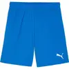Image de Puma, Hommes, Bas de sport, teamGOAL Short (M), Bleu