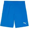 Image de Puma, Hommes, Bas de sport, teamGOAL Short (3XL), Bleu