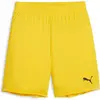 Image de Puma, Garçons, Bas de sport, teamGOAL Short Jr (164), Jaune