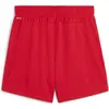 Image de Puma, Femmes, Bas de sport, teamGOAL Shorts Wmns (L), Rouge