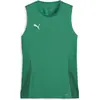 Image de Puma, Femmes, T-shirt de sport, teamGOAL Maillot sans manches Wmns (S), Vert, S