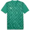 Image de Puma, Hommes, T-shirt de sport, teamGLORY Jersey (L), Vert, L