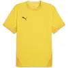 Image de Puma, Hommes, T-shirt de sport, teamFINAL Jersey (M), Jaune, M