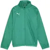 Image de Puma, Garçons, Vestes de survêtement, teamGOAL Veste Allweather Jr (116), Vert, 116