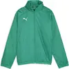 Image de Puma, Garçons, Vestes de survêtement, teamGOAL Veste Allweather Jr (164), Vert, 164