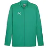 Image de Puma, Hommes, Veste de running, Veste d'entraînement teamFINAL (M), Vert, M