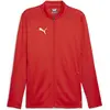 Image de Puma, Hommes, Vestes de survêtement, Veste d'entraînement teamFINAL (M), Rouge