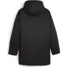 Image de Puma, Hommes, Veste de running, Veste d'hiver teamFINAL (M), Noir, M