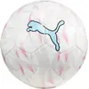 Image de Puma, Ballon de football, (5)