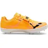 Image de Puma, Unisexe, Baskets, evoSPEED High Jump 11 Ultraweave, Orange, (43)