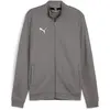 Image de Puma, Hommes, Vestes de survêtement, teamGOAL Casual Tracktop (M), Gris, Blanc, M