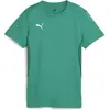 Image de Puma, Femmes, T-shirt de sport, teamGOAL Jersey Wmn (M), Vert, M